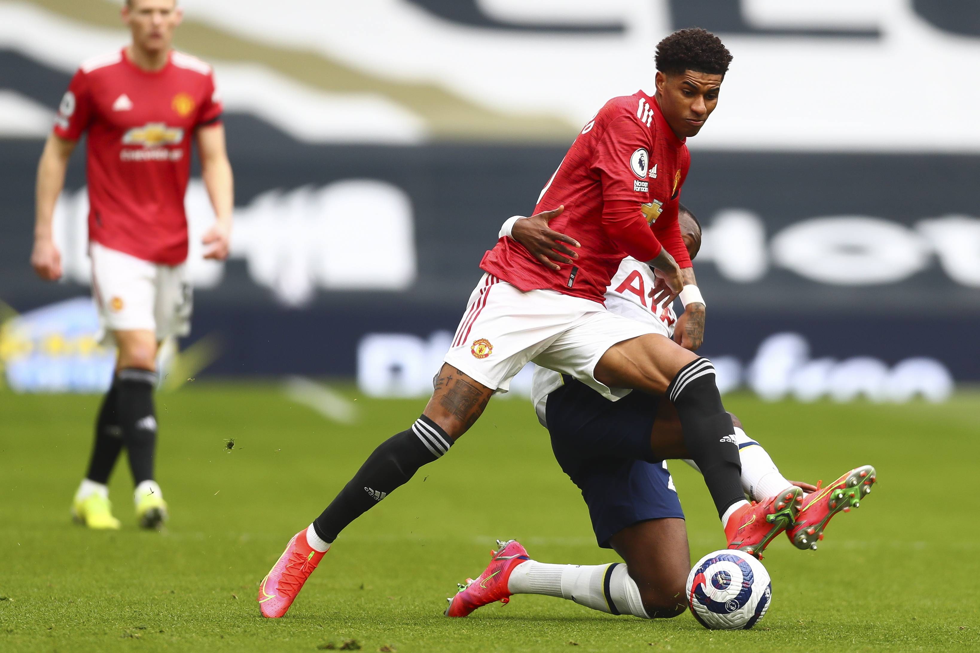 仅有着坚韧 仅有着坚韧