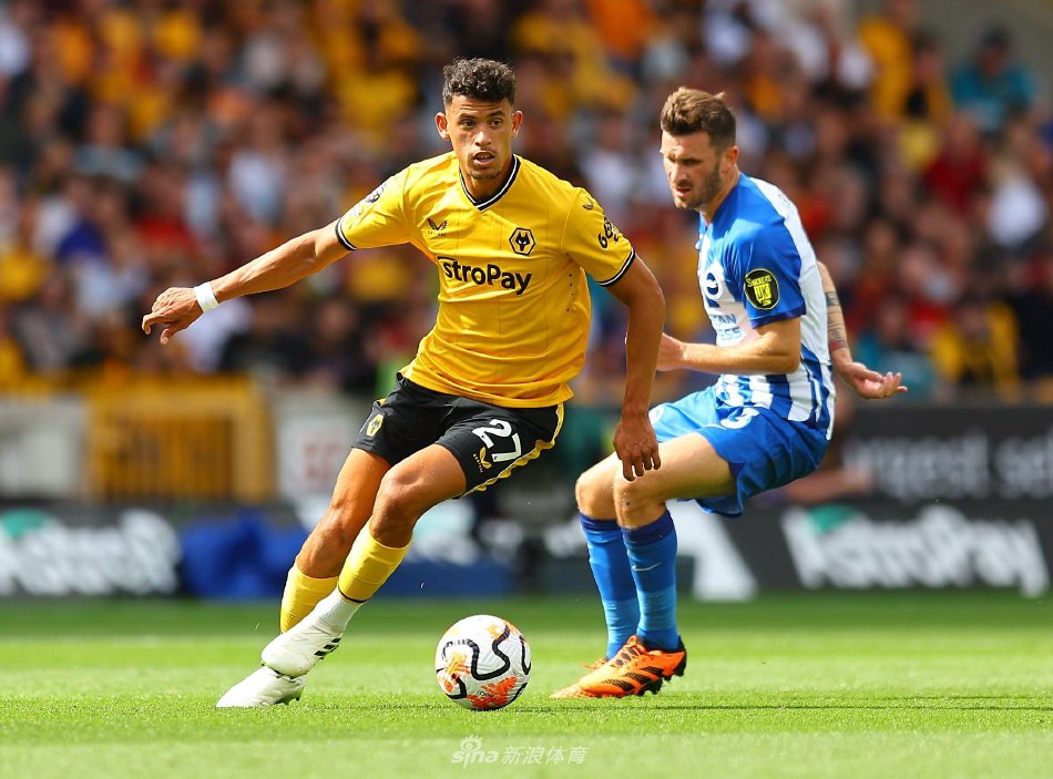 贡献他的技 贡献他的技